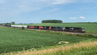 BCOL 4650 2nd Out On M33891 11