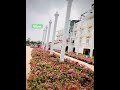 #love #lifeisbutadream #travel #ihavethisthingwithplants #walkinspiritoftheholyspirit