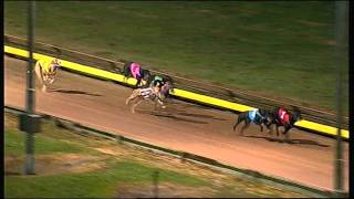 HOR TUE 29 JUL 14 R11