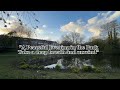4K Virtual Walk: Scenic Park Pond, Golden Hour Trees, and Serene Nature 🍂