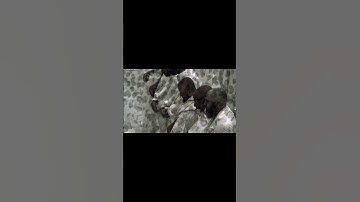 آيات من سورة المؤمنون القارئ الشيخ ماهر المعيقلي