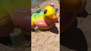 INTEX Duck Pool Float Review