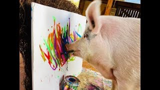 6/29/19 episode: Pigcasso