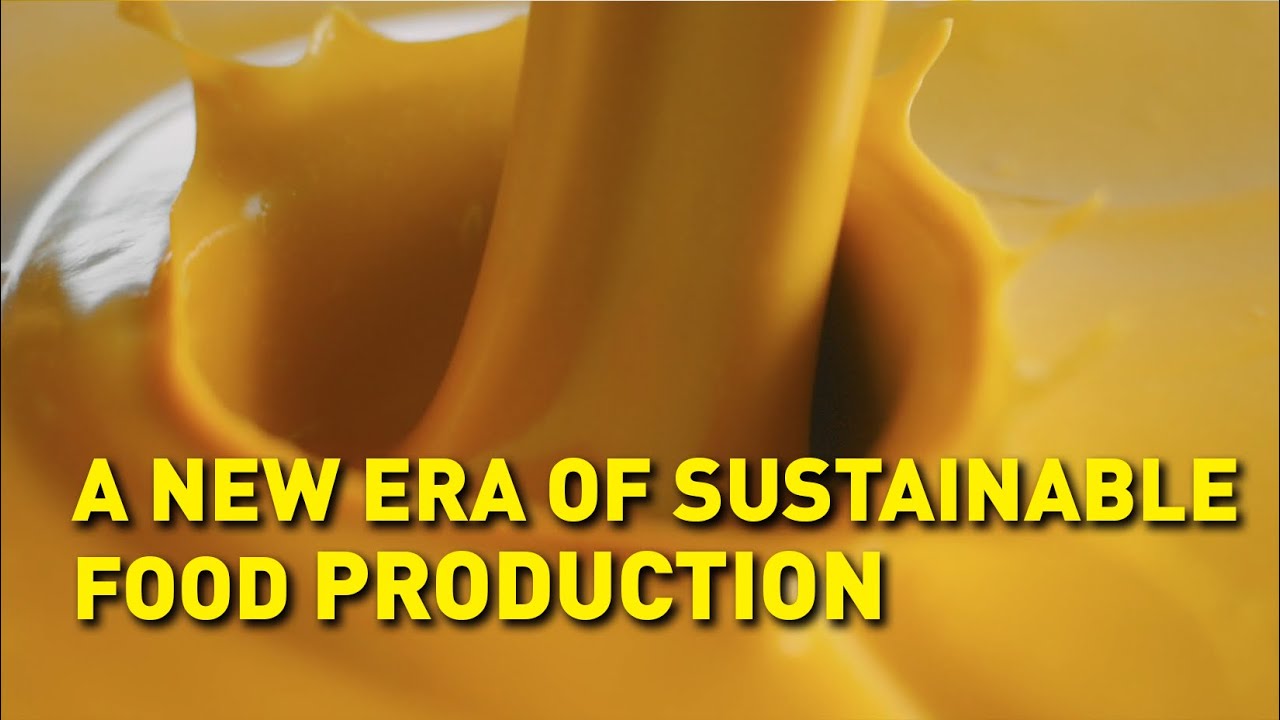 Making food from air and electricity youtube