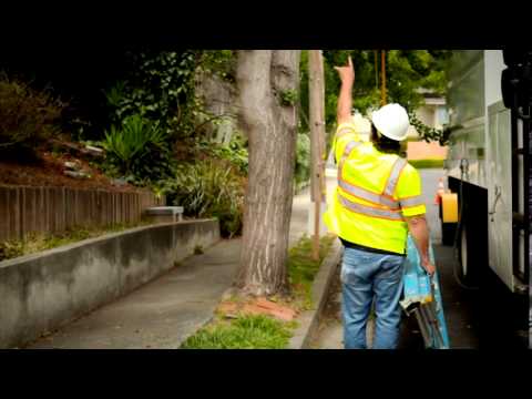 Tree Worker Safety Around Electric and Gas Lines