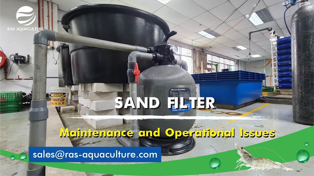 Sand Filter Maintenance for our CLEARWATER RAS YouTube
