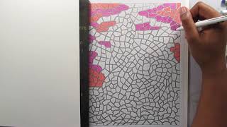 Speed Color By Number Sunlife Drawing Animal Mosaic Seal