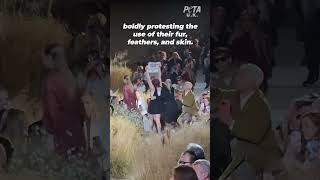 2023 Compilation of PETA Crashing Runways