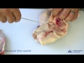 How to Fabricate a Chicken