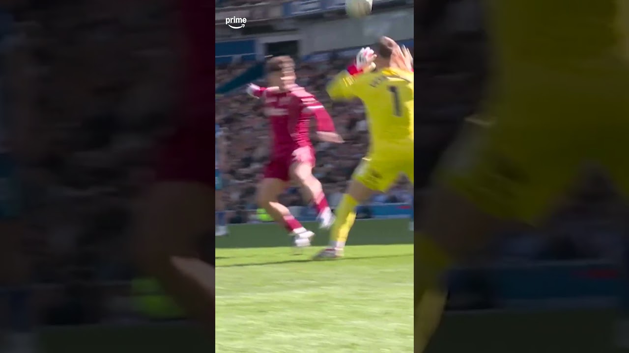 Wat een geschutter achterin bij Brighton, oud-speler van AZ Milos Kerkez profiteert: 1-1!