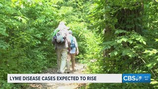 Tick populations rise as Lyme disease cases grow
