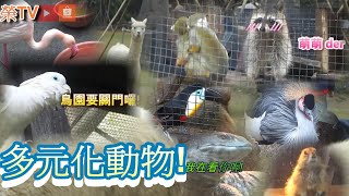 #去新竹北埔綠世界一日玩到底!「#綠世界生態農場」  #台三線 #草泥馬 #鵜鶘#猴子#羊陀#鸚鵡#大蟒蛇#過新年《VLOG》