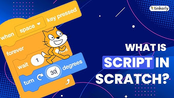 What Is A Script? Coding For Kids -Tinkerly