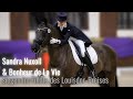 Sarah Nuxoll & Bonheur de La Vie 💞 | Siegerpaar Finale Louisdor-Preis 🤩 | auf dem Gestüt Schafhof