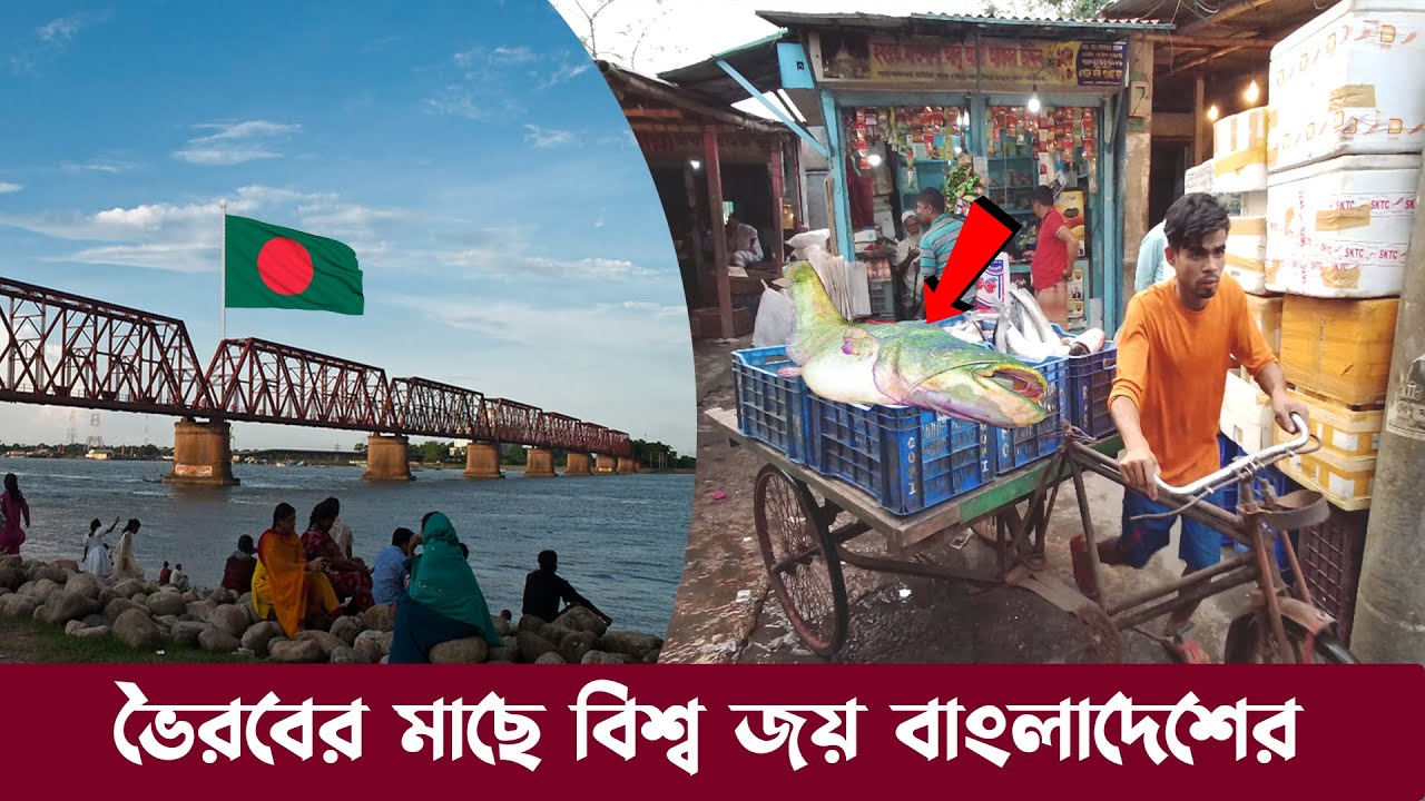ভৈরবের মাছে বিশ্বজয় বাংলাদেশের !! রপ্তানি আয় ৪ হাজার কোটি টাকা !! Largest Fish Market in Bangladesh