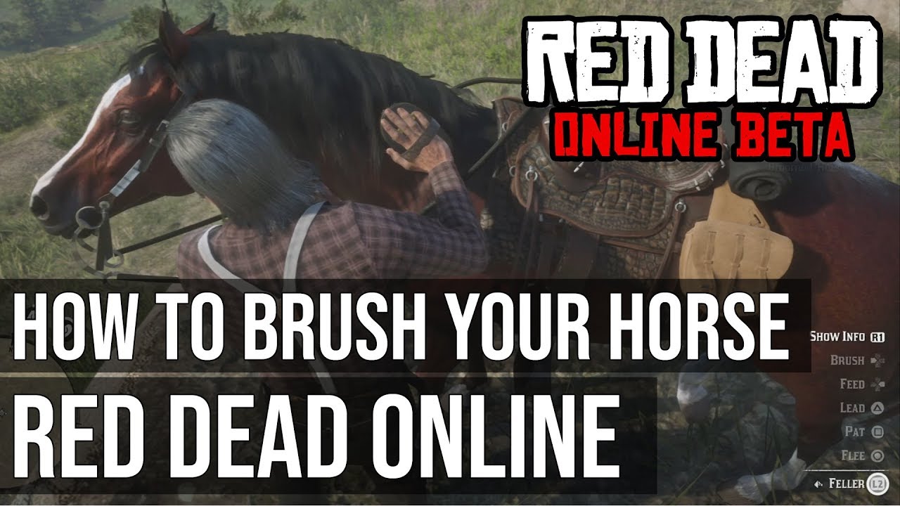 How to Brush your Horse in Red Dead Online - Red Dead Redemption 2 ...