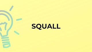 What is the meaning of the word SQUALL?