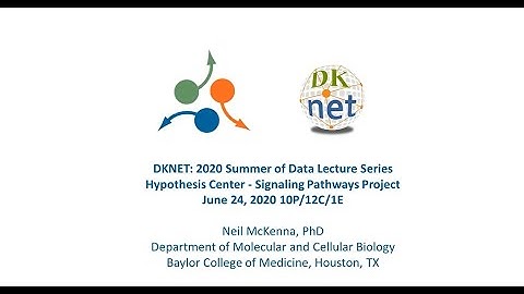 2020 dkNET Summer Program: dkNET Hypothesis Center - Signaling Pathways Project