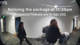 Ring Doorbell Footage of Thieves / Squatter) at Eton at Warner Center Apartments - Apt 202