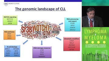 Genomics 101 in CLL: How useful in clinical practice?
