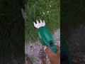 Grass Trimmer,триммер для травы#aliexpress,Brush Cutter,кусторез#shortvideo#инструмент#trimmer#top