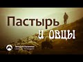 Геннадий Пилипенко: "Пастырь и овцы"