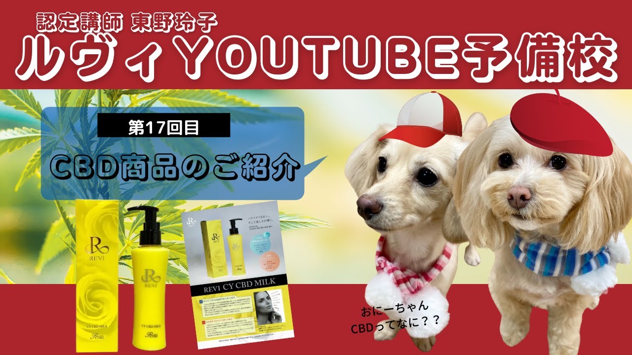 ルヴィ CBD シリーズ紹介編 No.17】REVI(ルヴィ)YOUTUBE予備校 （REVI 
