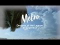 Metro Dreams of Epperson