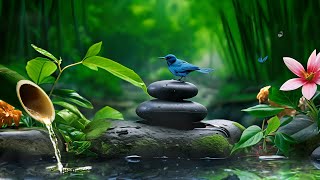 Beautiful Relaxing Music - Stop Thinking Too Much, Music with Relief, Music to Sleep🌿 by Peaceful Relaxation 1,825 views 4 weeks ago 3 hours, 41 minutes