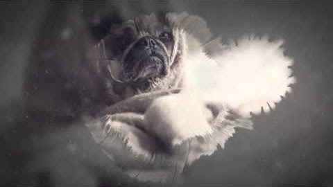 Ink Parallax Opener After Effects Template