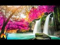🔴 Study Music 24/7, Meditation, Focus, Concentration Music, Yoga, Calm Music, Relaxing Music, Study