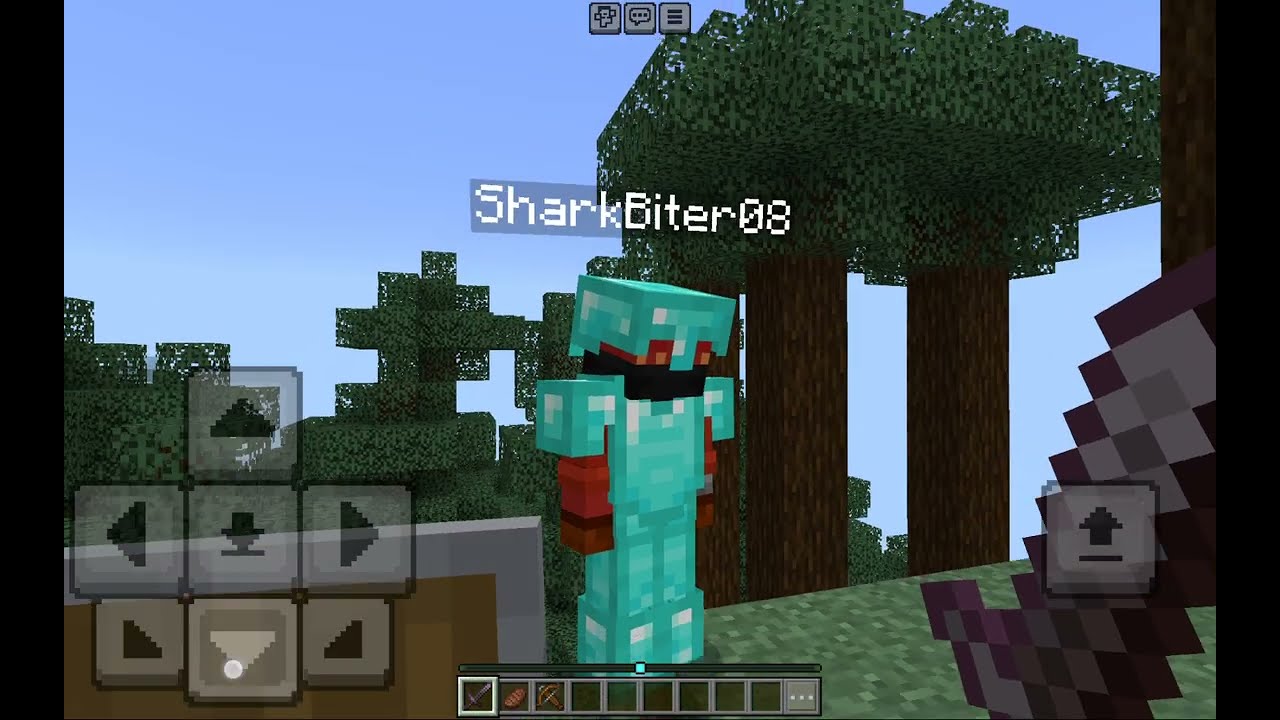 I PLAY MINECRAFT WITH MY FRIEND