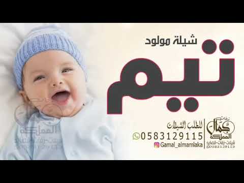 شيلات مولود  شيله مولود باسم تيم شيلات مواليد 