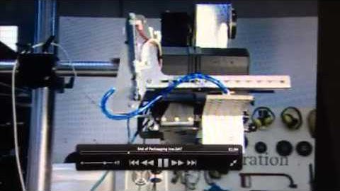 Video for online check weighing