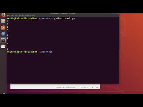Python Automation - Flow Control Breaks
