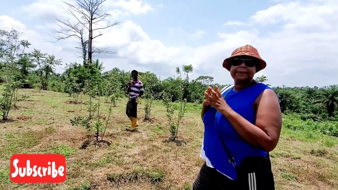 RIA Apple Farm in Liberia,  Part 2