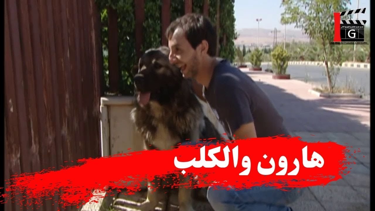 اقوى مشاهد هارون ـ قرر يخطف بنت حبيبتو حتى ترضى تتزوجو