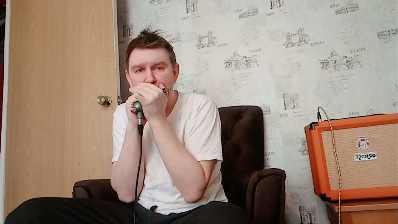 From David Barrett lessons 1 blues harmonica YouTube