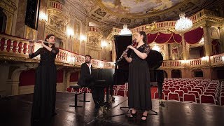 Trio DOBONA | Webster: Carmen Rhapsody for Flute, Clarinet and Piano