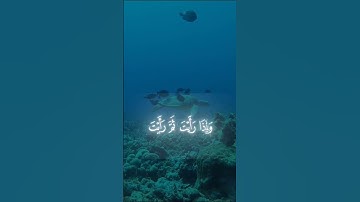 سورة المؤمنون، راحه نفسيه | محمد اللحيدان  #راحة_نفسية  #لايك #محمد_اللحيدان #قران_كريم