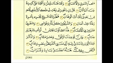 سورة ص-الشيخ علي الحذيفي-رواية قالون