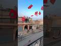 Kite Viral Video Ytshorts Kite Kitecautting Kiteflying Flyingkites Love