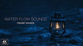Night Stream and Cricket Sounds: Perfect Sleep Companion. Gentle Nighttime Water Flow Sounds.