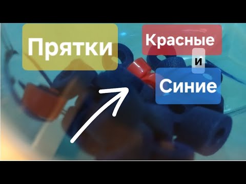 ГОЛОСОВАНИЕ | ПОДПИШИСЬ, ЧТОБЫ НЕ ПРОПУСКАТЬ НОВЫЕ ВИДЕО |