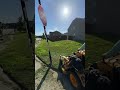 Over grown clean up