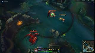 Kindred wolf bug