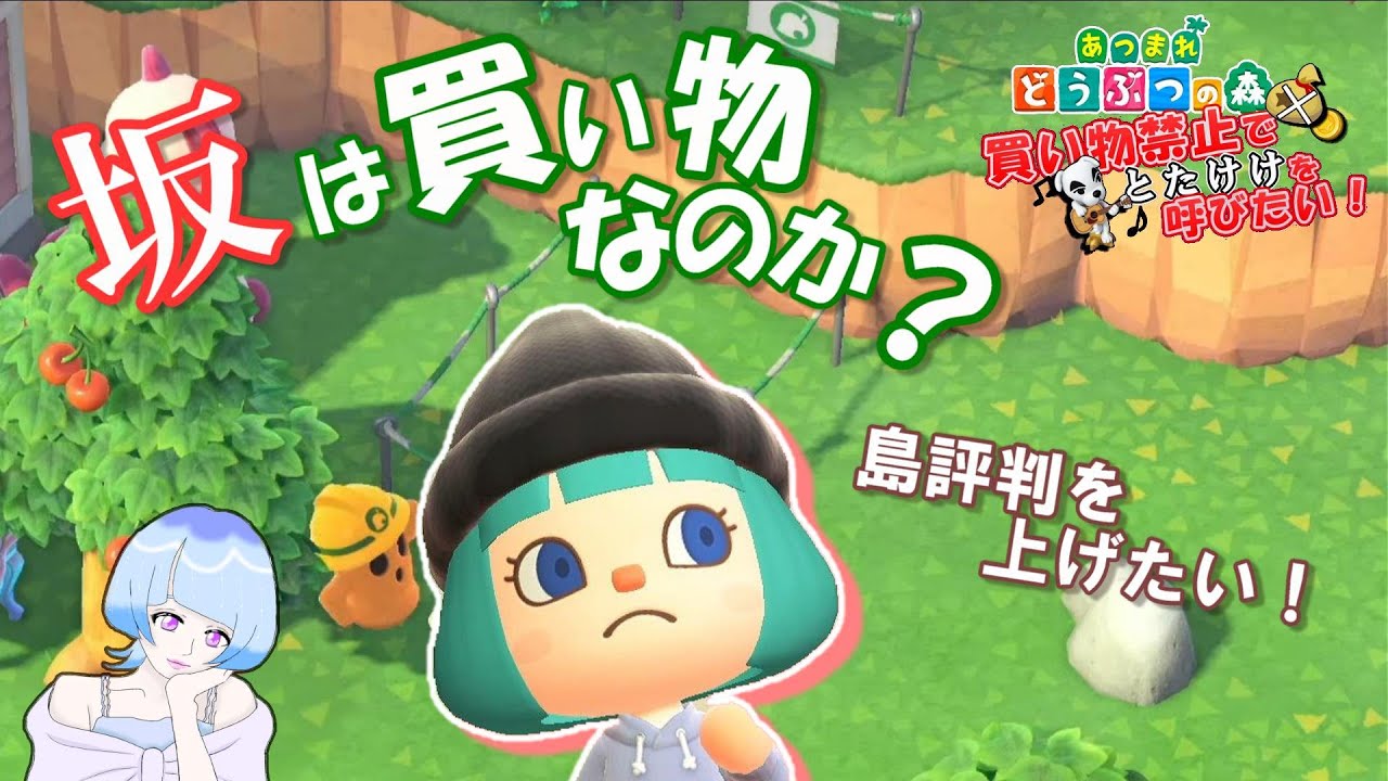 専用ご確認 あつまれどうぶつの森 購入禁止 あつまれ どうぶつの森】追加コンテンツ『あつまれ どうぶつの森