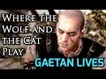 Witcher 3 DLC ► Where The Wolf and the Cat Play - Gaetan, the Cat School Witcher Lives