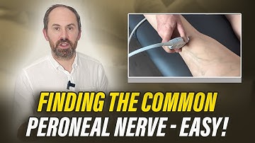 How to Scan the Common Peroneal Nerve with MSK Ultrasound