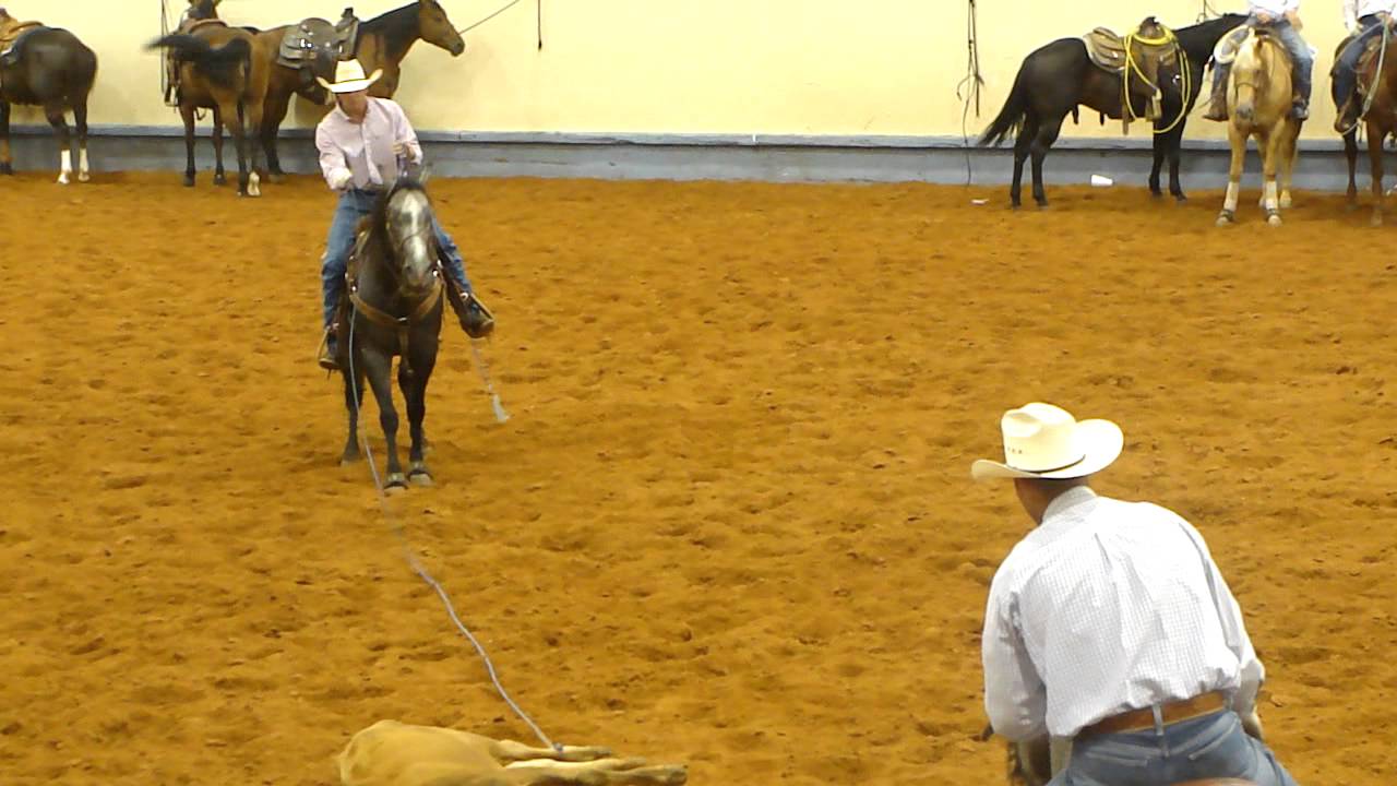 Oklahoma Quarter Horse Association Redbud Spectacular Senior Heading